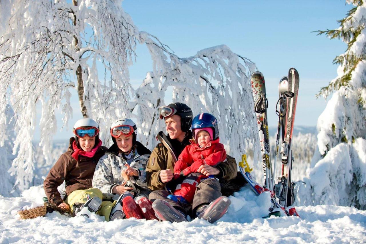 Сонячна Квітка Polyana (Transcarpathia) Buitenkant foto